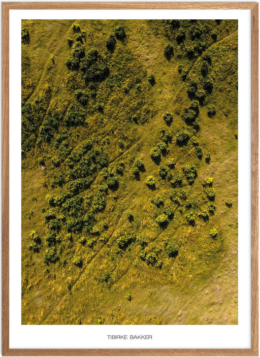 Tibirke Bakker Plakat