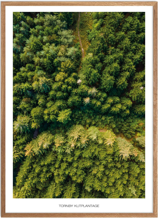 Tornby Klitplantage No. 2 Plakat