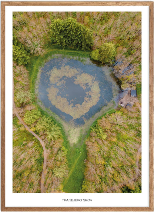 Tranbjerg Skov No. 1 Plakat