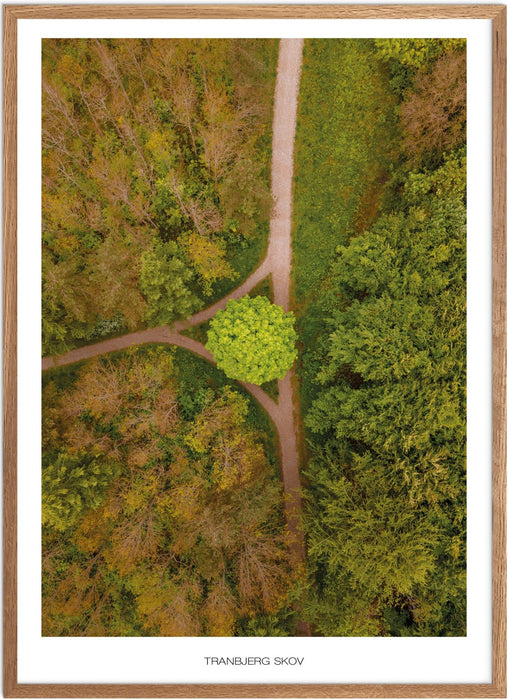 Tranbjerg Skov No. 2 Plakat