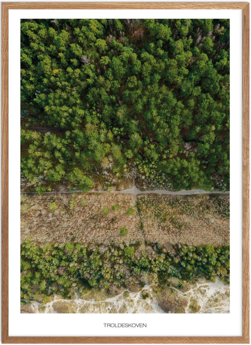 Troldeskoven Liseleje No. 2 Plakat - Plakatsnedkeren