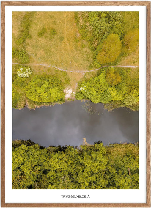 Tryggevælde Å No. 1 Plakat