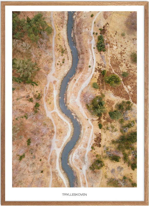 Trylleskoven No. 1 Plakat