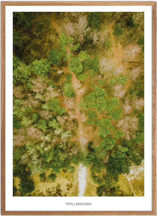 Trylleskoven No. 2 Plakat