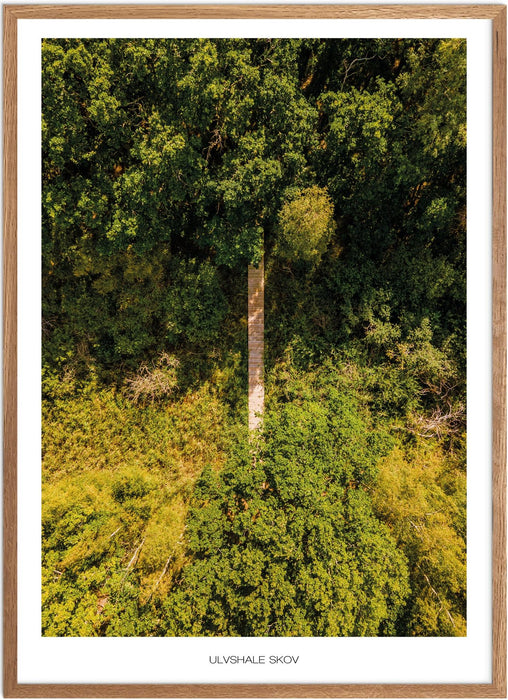 Ulvshale Skov Plakat