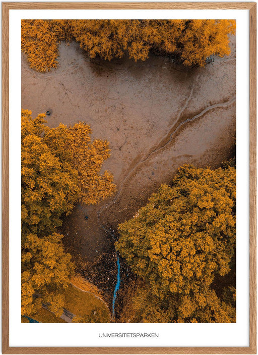 Universitetsparken Plakat - Plakatsnedkeren