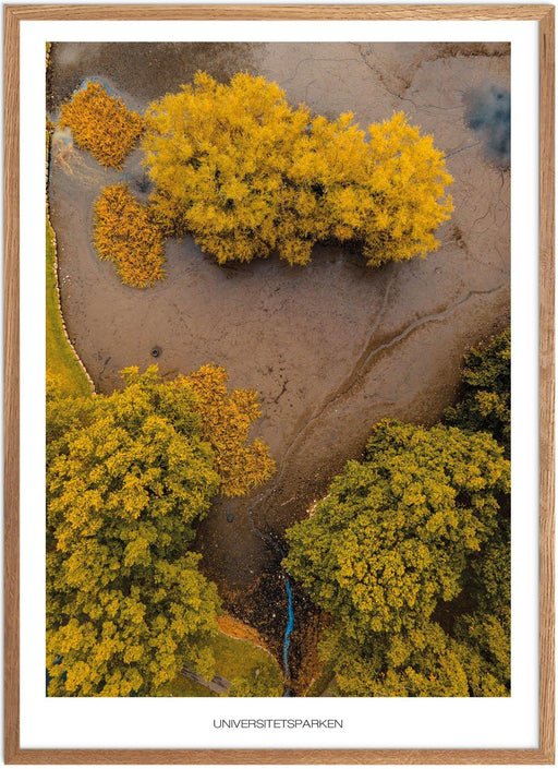 Universitetsparken No. 2 Plakat - Plakatsnedkeren