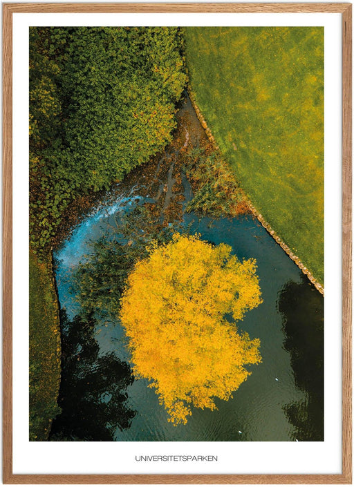 Universitetsparken No. 3 Plakat - Plakatsnedkeren