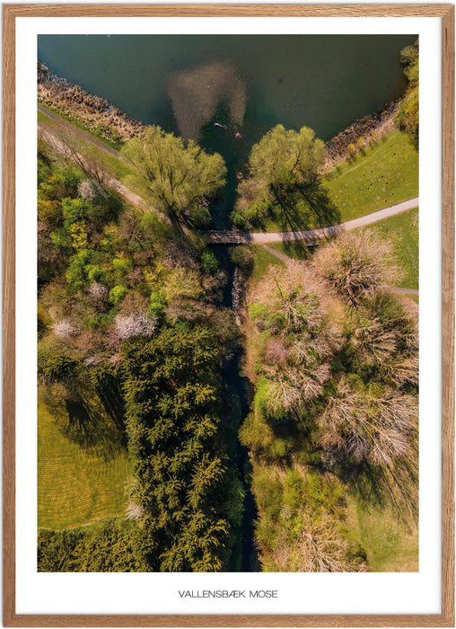 Vallensbæk Mose No. 1 Plakat