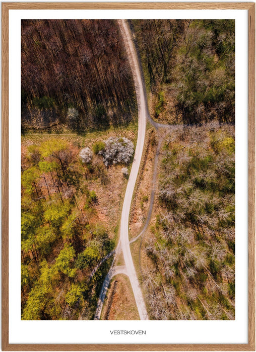 Vestskoven No. 2 Plakat