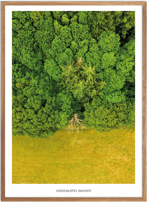 Vissenbjerg Bakker No. 2 Plakat