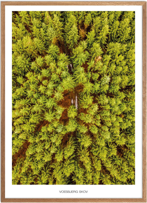 Voesbjerg Skov Plakat