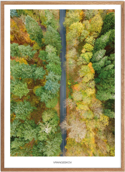 Vrangeskov No. 1 Plakat