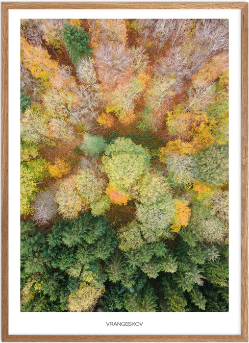 Vrangeskov No. 2 Plakat