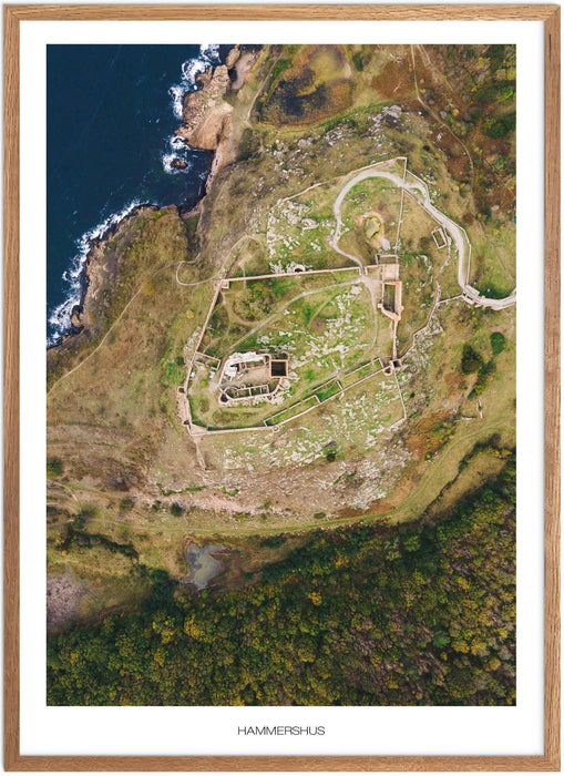Hammershus Plakat - Plakatsnedkeren